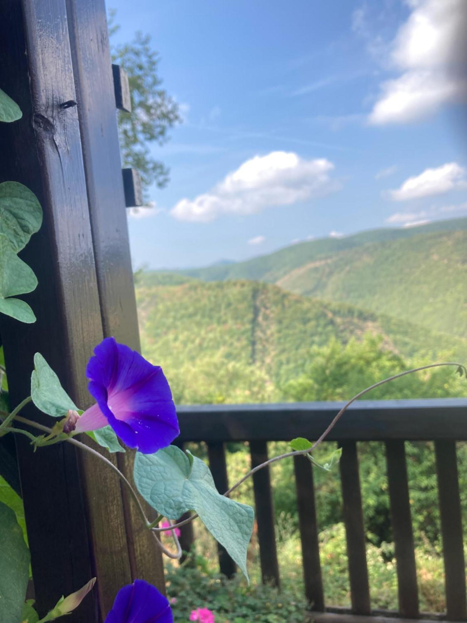 Agriturismo Becerca Vegan Serra San Quirico Luaran gambar