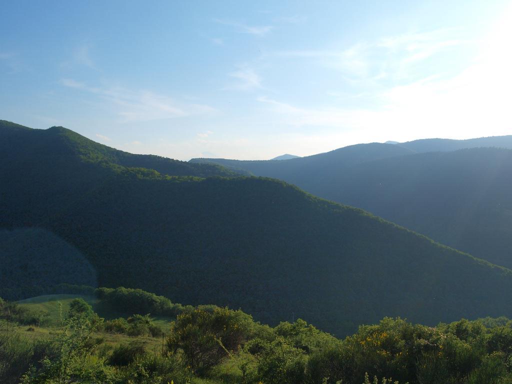 Agriturismo Becerca Vegan Serra San Quirico Luaran gambar