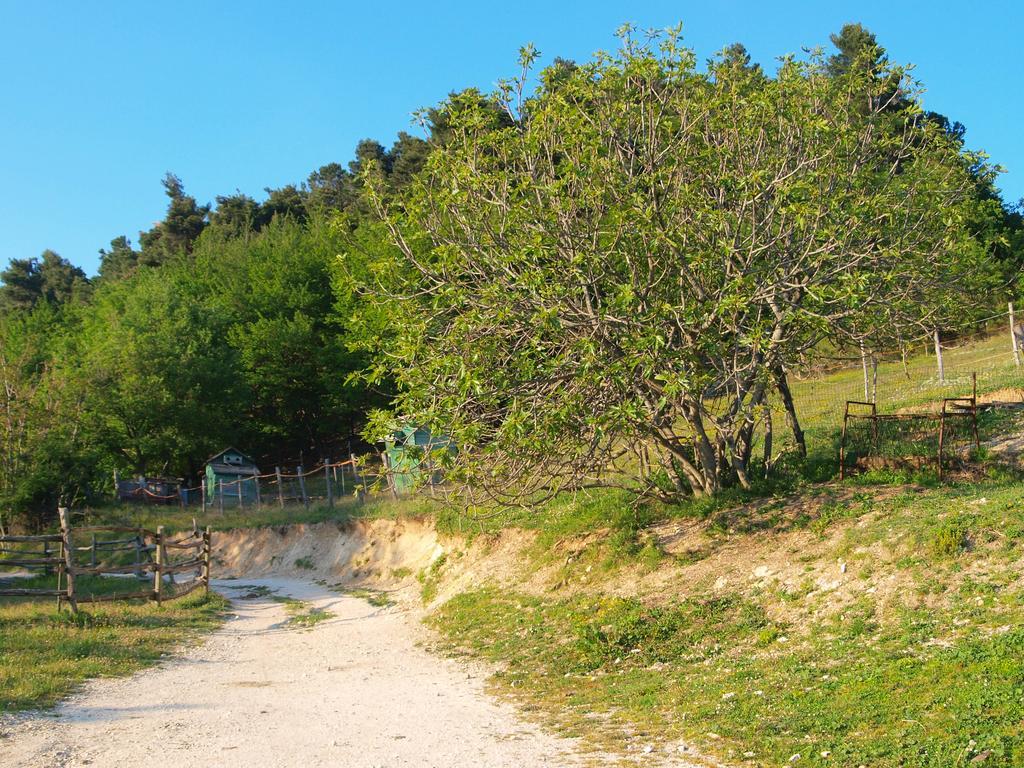 Agriturismo Becerca Vegan Serra San Quirico Luaran gambar