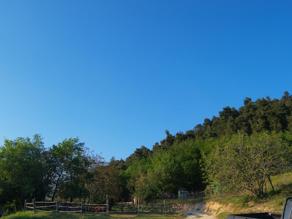 Agriturismo Becerca Vegan Serra San Quirico Luaran gambar