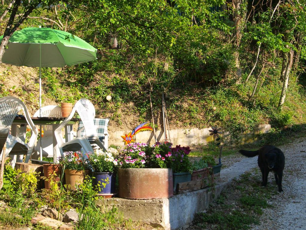 Agriturismo Becerca Vegan Serra San Quirico Luaran gambar