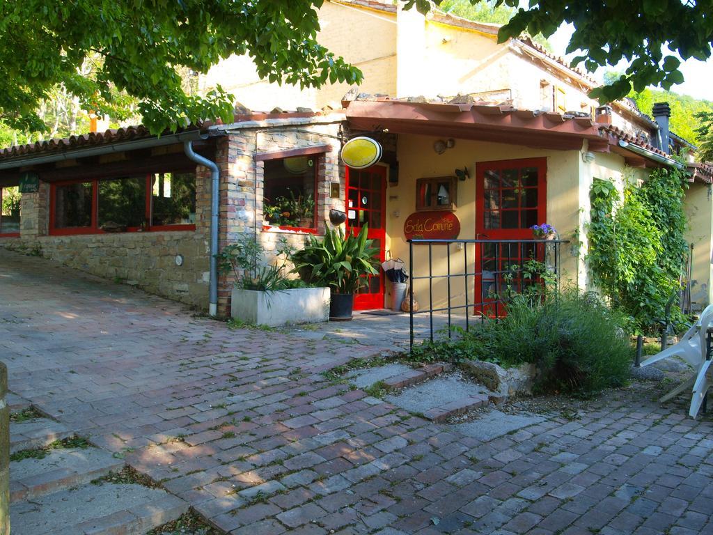 Agriturismo Becerca Vegan Serra San Quirico Luaran gambar